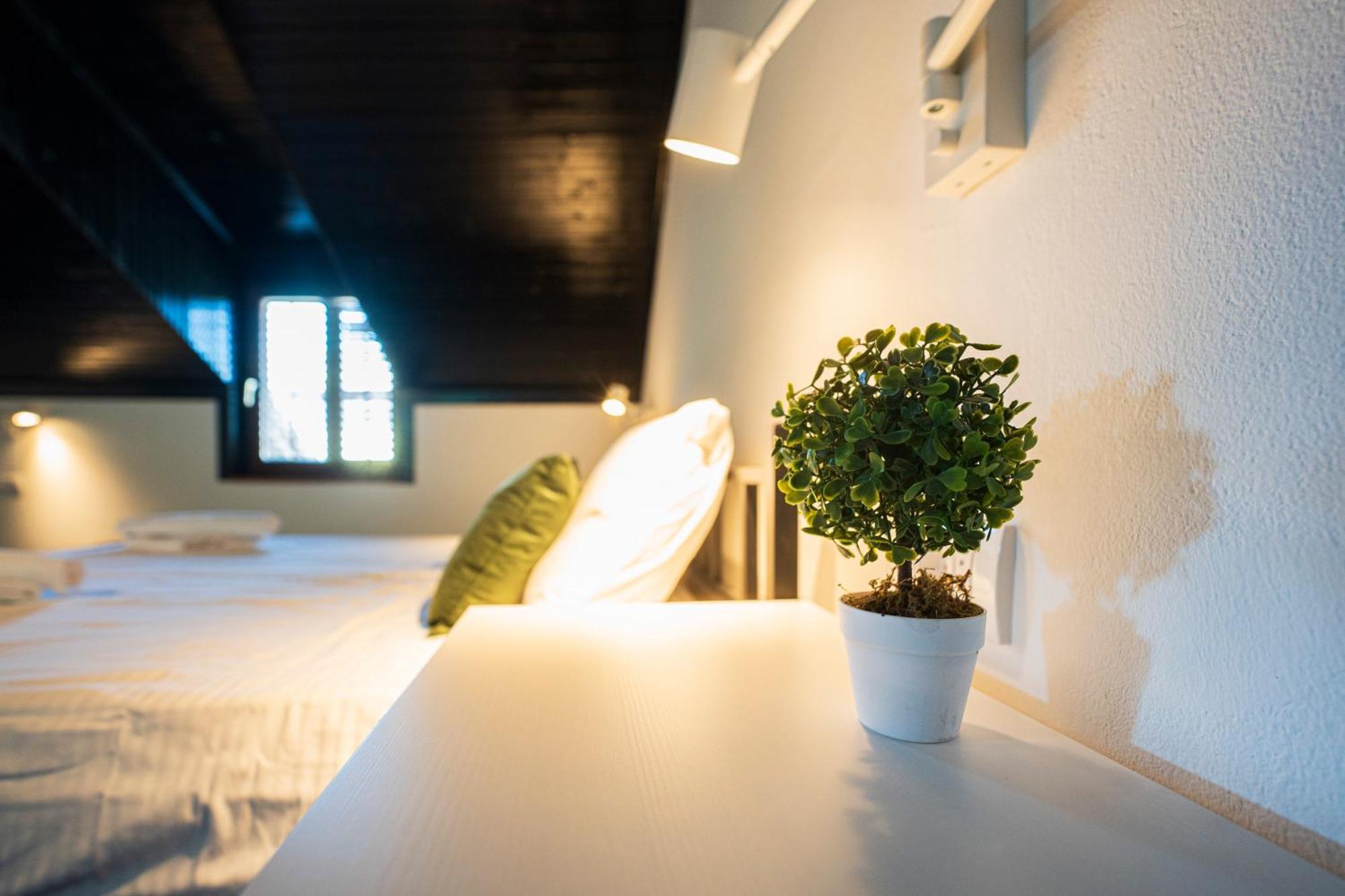 Cozy Nook B&B - Free Private Parking ノヴィ・サド エクステリア 写真